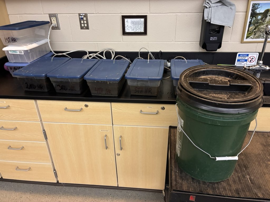 KeithPiccard's tweet image. Good start of the day with the double rainbow at @AllendaleMS!  Invertebrates from yesterday are all aerating, sorting materials ready to go, and the #RAILProject App is fired up. @wxblakeharms @ellenbacca @UMichEEB @MSUEntomology @BiologyGvsu