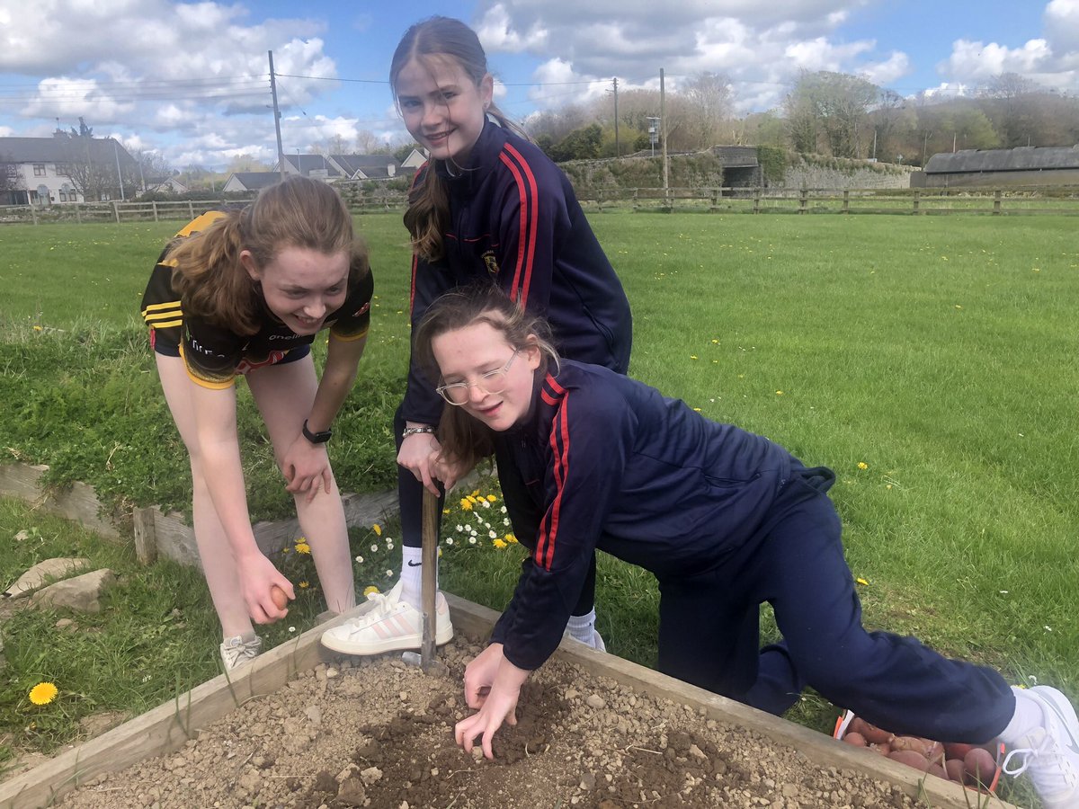 Ballyragget N.S. tweet media