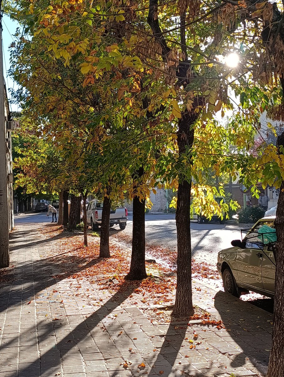 Fede 🦕🦖 tweet media