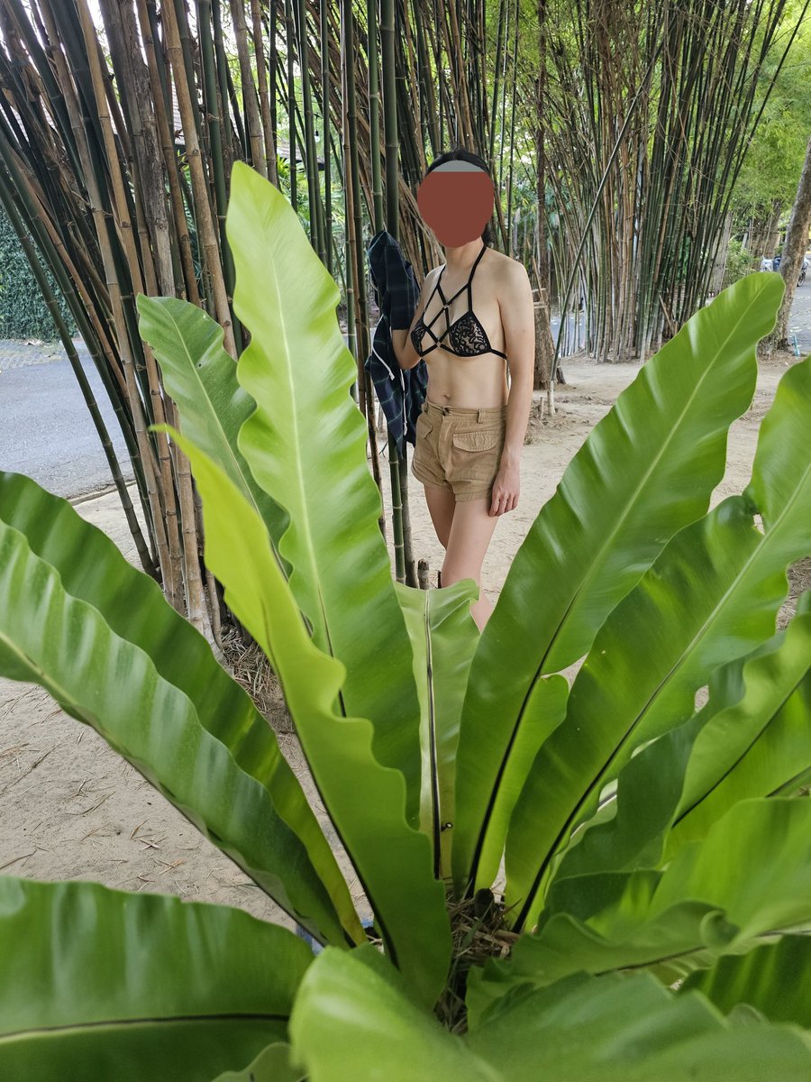 Bkk_4_life tweet media