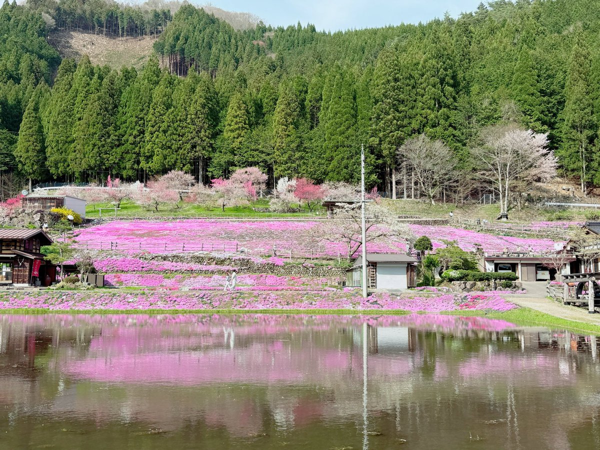 cнιℓιριℓιcσ♥チリピリ子 tweet media