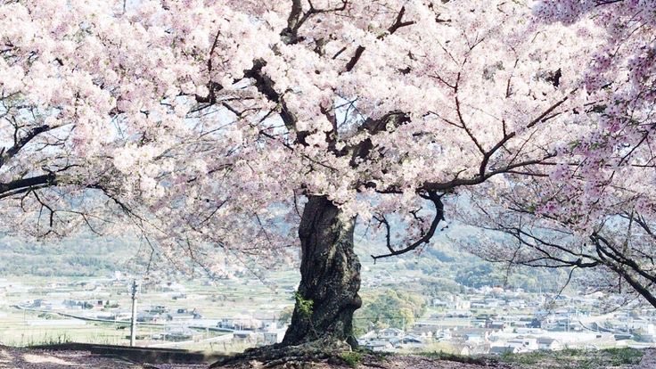 aishah ♡ ˎˊ˗ tweet media