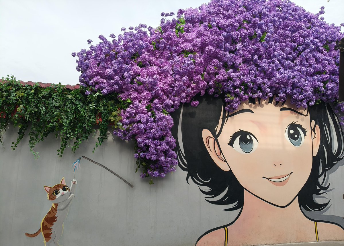 Allison Stuart tweet media