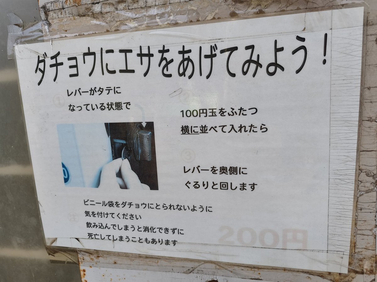 毎日が夏休み！ tweet media