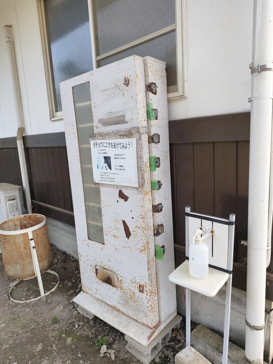 毎日が夏休み！ tweet media