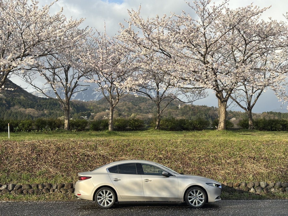 あひるっく@いつでもドライブ中 tweet media