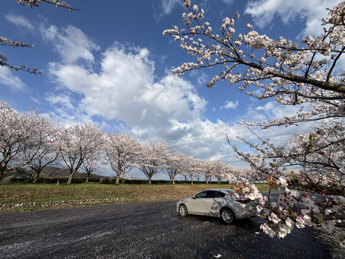 あひるっく@いつでもドライブ中 tweet media