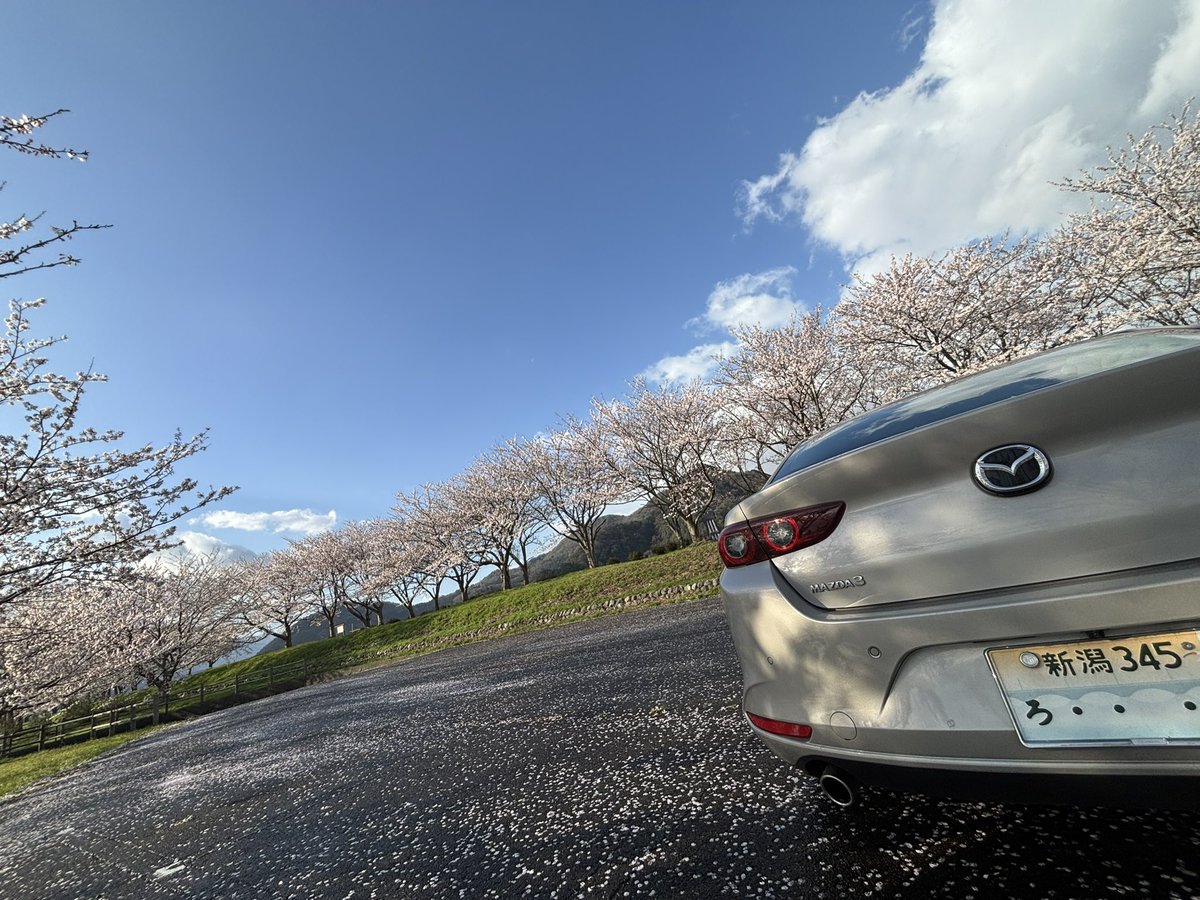 あひるっく@いつでもドライブ中 tweet media