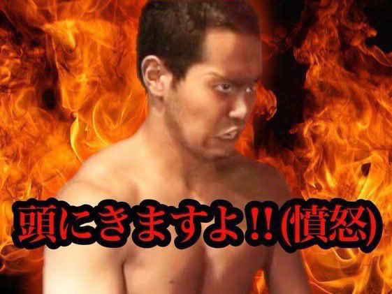 りゅーは🦔 武道館②横アリ② tweet media