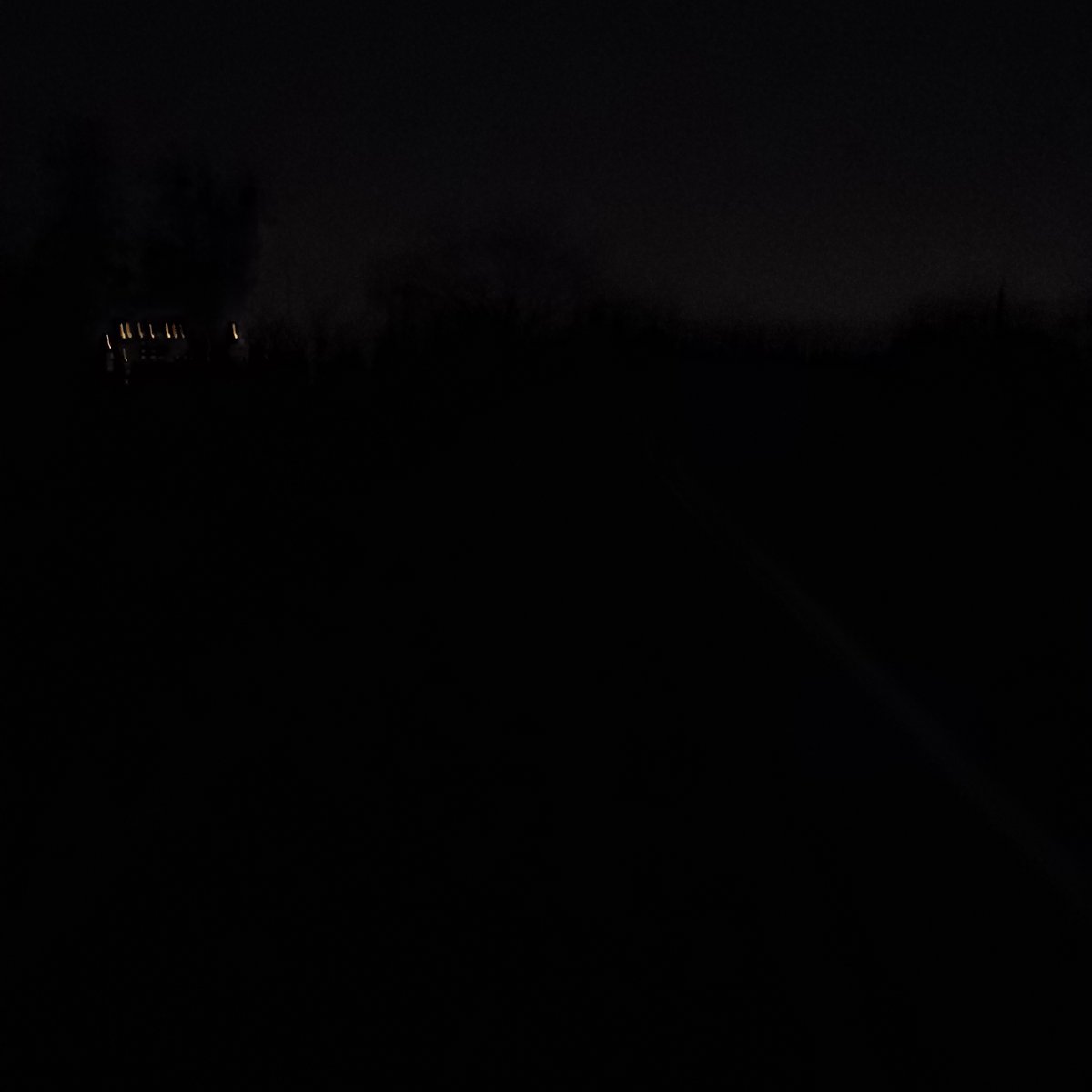 🌿🌿 tweet media