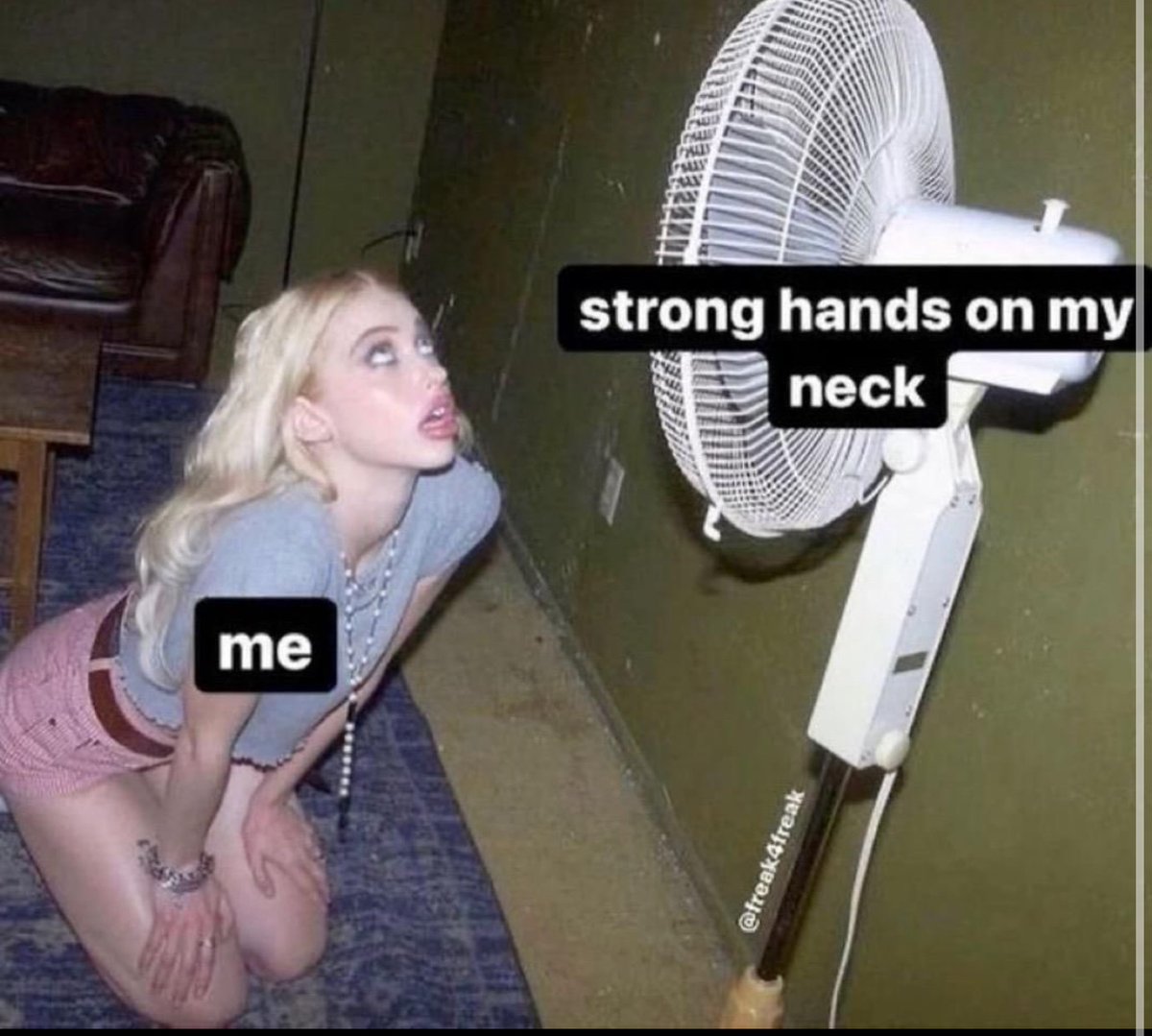 Lexi Sinclair tweet media