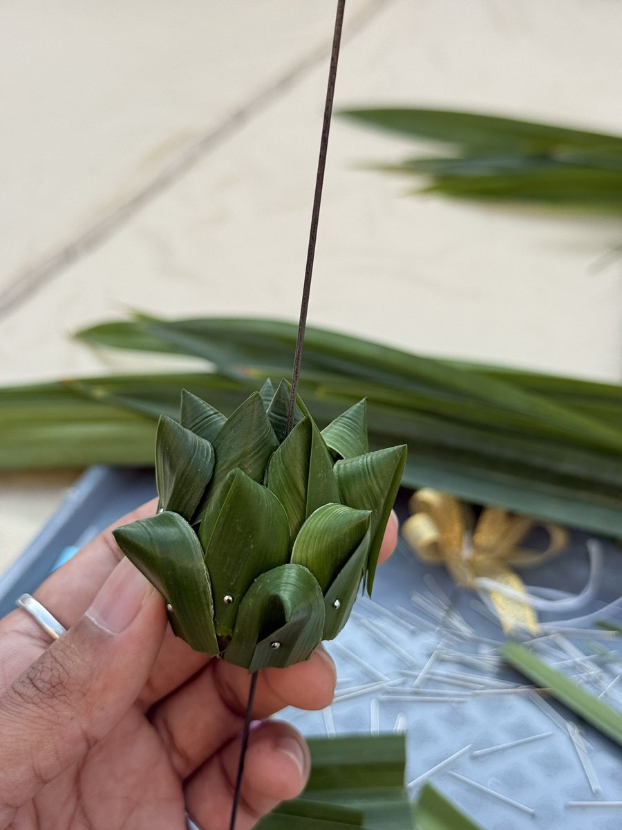 กวย🦭 tweet media