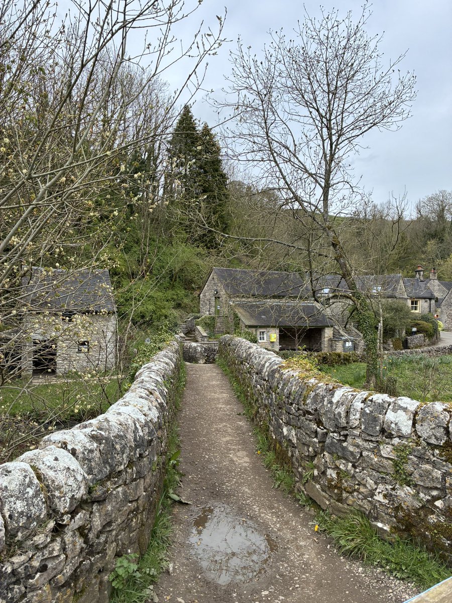 Zara Handley tweet media