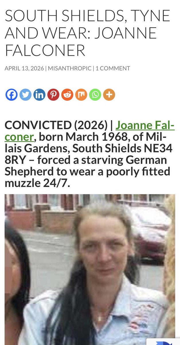 Lady4ReformUK👊🏻🩵🏴󠁧󠁢󠁥󠁮󠁧󠁿 🇬🇧 🐾❤️ ✝️ tweet media