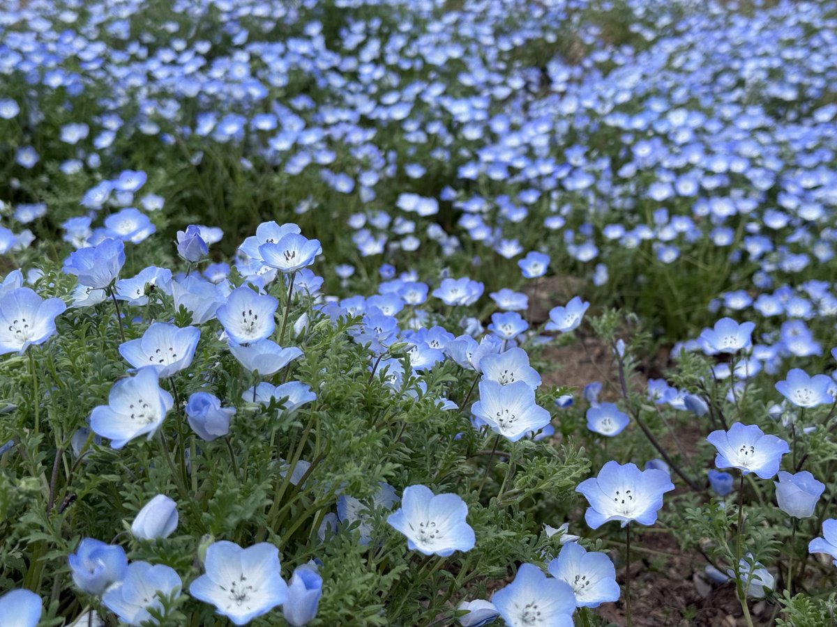 犯人はヤス tweet media