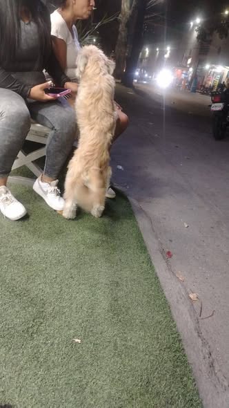 Carolina tweet media