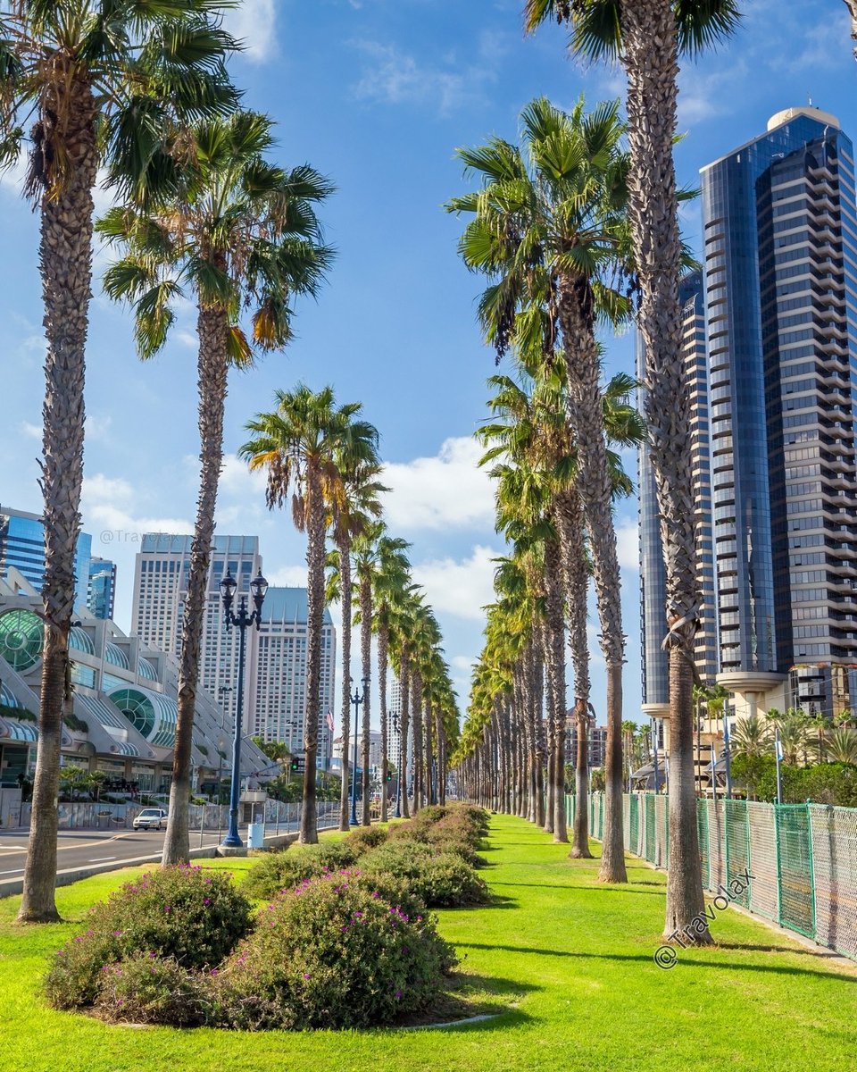 Travolax | Always Traveling tweet media