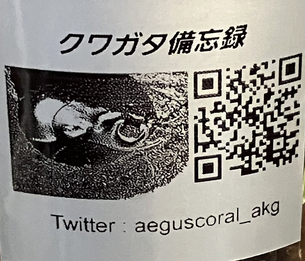 klein201801's tweet image. 4月12日
#SB 購入品２

あかぎさん @aeguscoral_akg からウーコクワガタの雄を１頭、雌を２頭で購入。販売者さん曰く、謙遜してコクワガタの繁殖は苦手で唯一、成功した種類だと言う。そんな販売者さんから助言をしてもらい、繁殖に取り組もうと思う。

Dorcus wui
中華人民共和国￼陕西省泰嶺
WF5