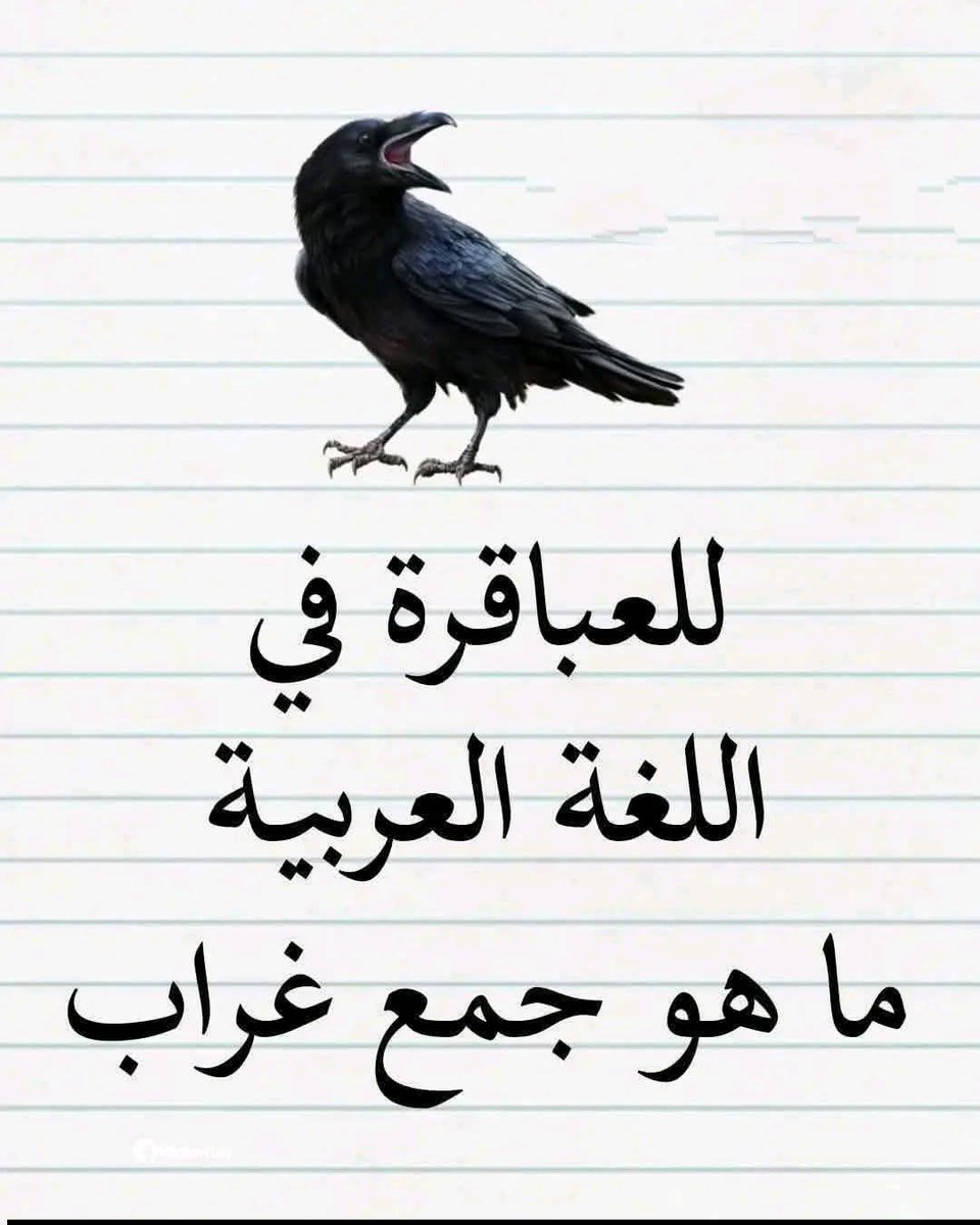 علي إسماعيل tweet media