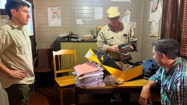 Programa JNR Misiones tweet media