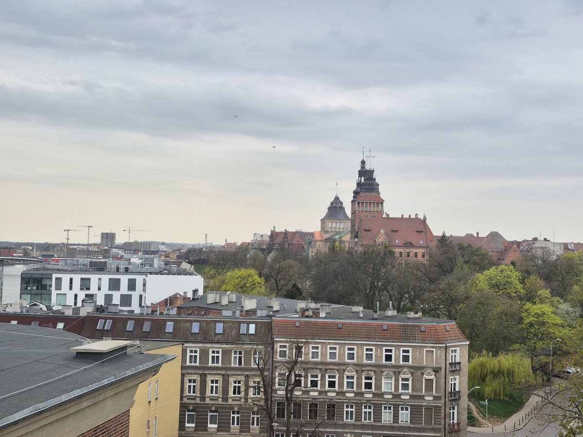 Bartłomiej Kozłowski tweet media