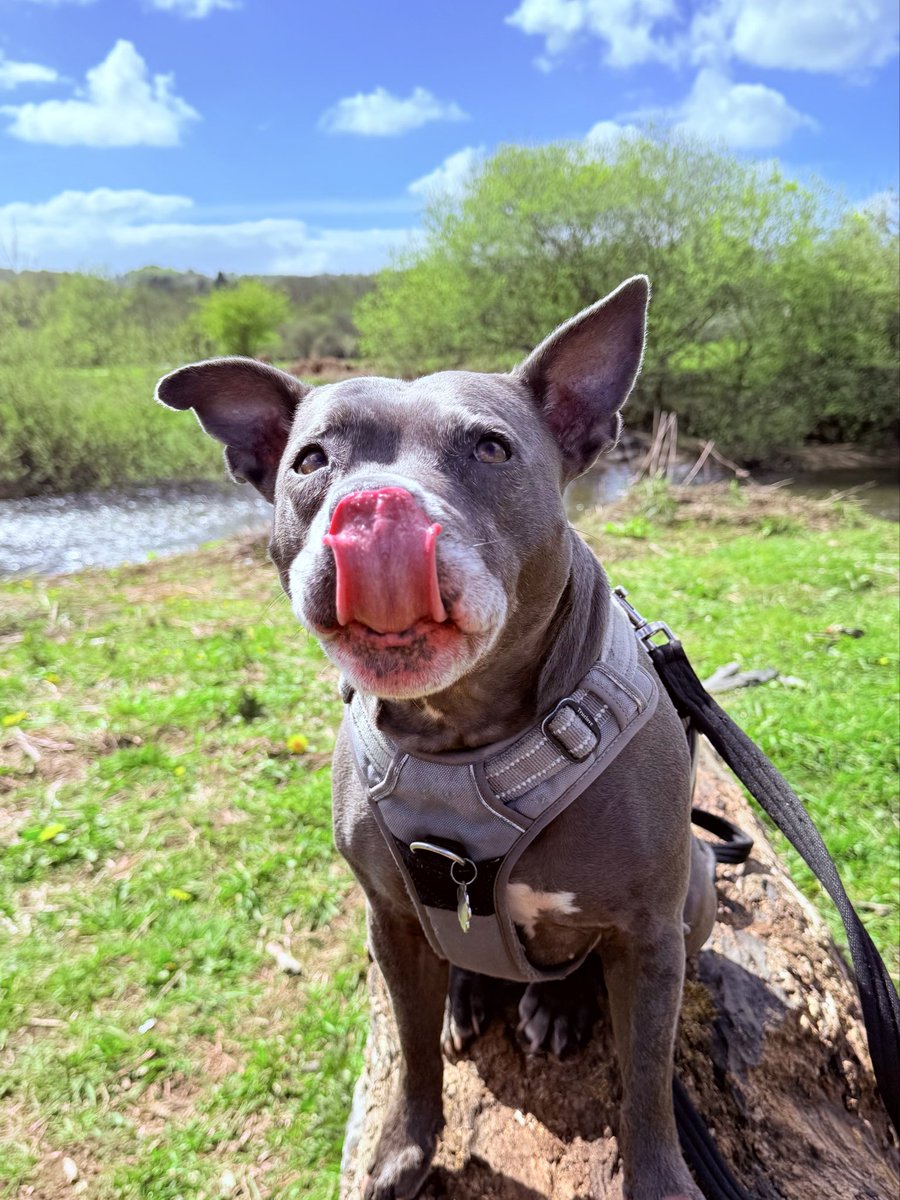 Isa Mary tweet media