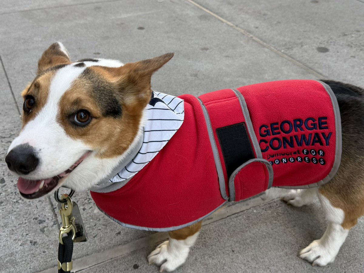 Want to meet our campaign's Pawlicy Director and Chief of Canine Affairs, Clyde Conway the Corgi?

Here's your big chance!!

(1/2)