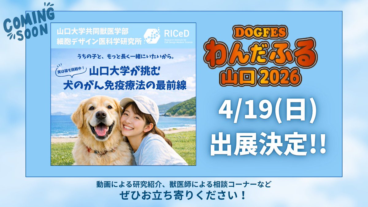 みずたく／犬猫獣医師&大学教授&がん研究者@山口大 tweet media