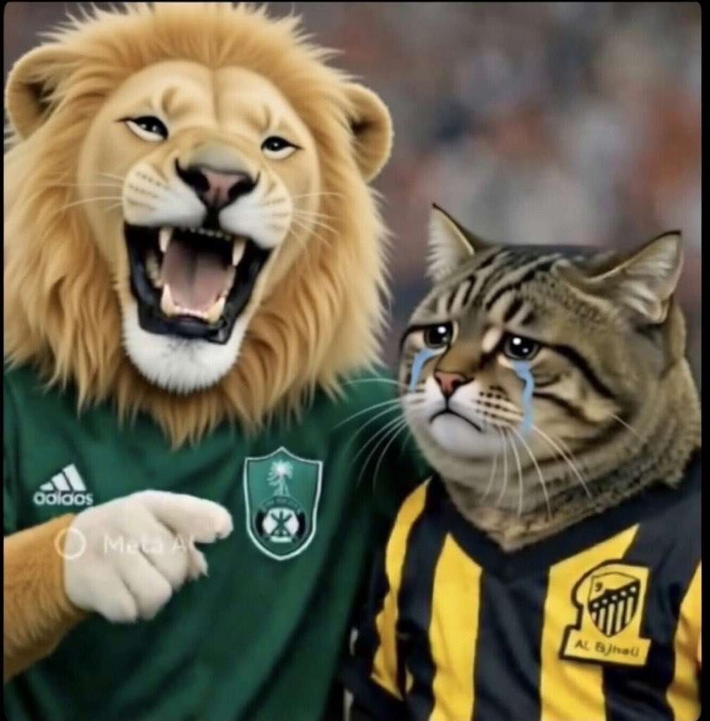 بطل النخبة🏆✦ibrahim⌯♩ tweet media