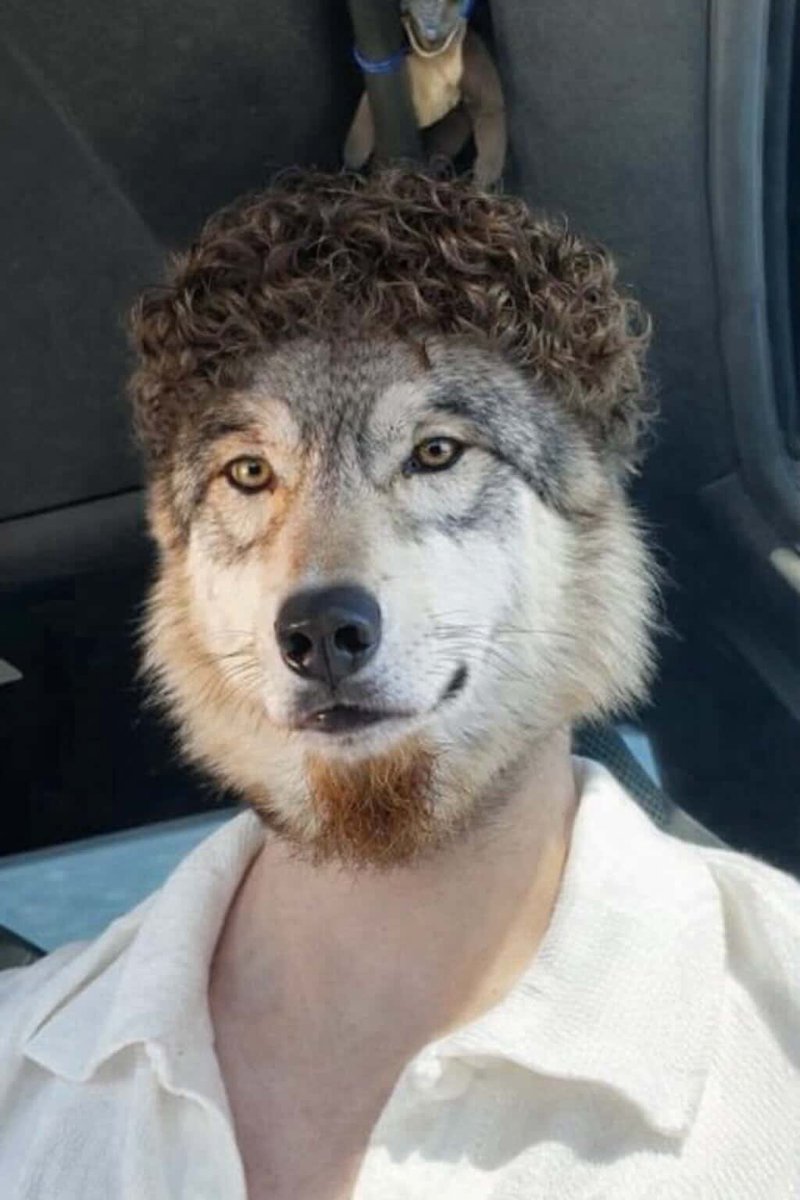 sasha ✧ tweet media