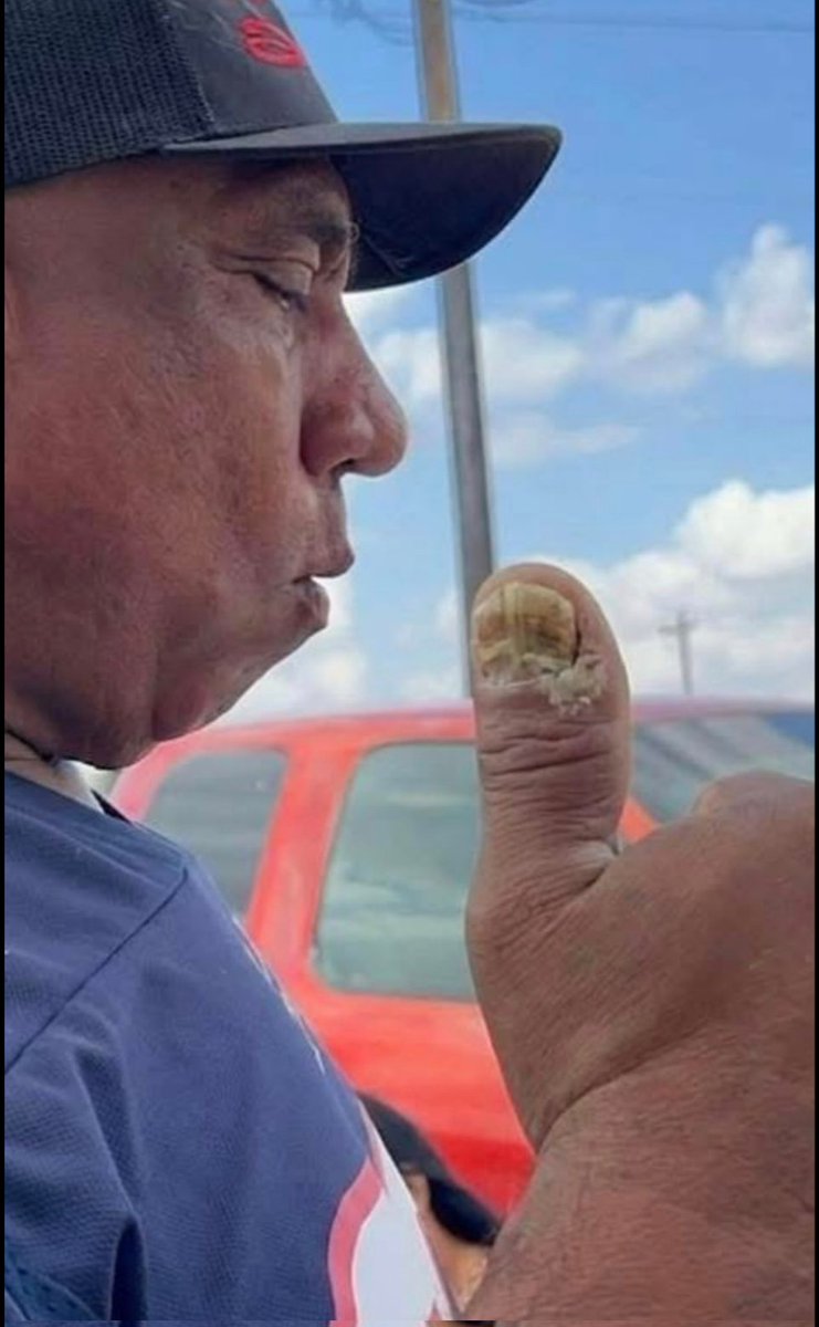 Profe_Chido tweet media