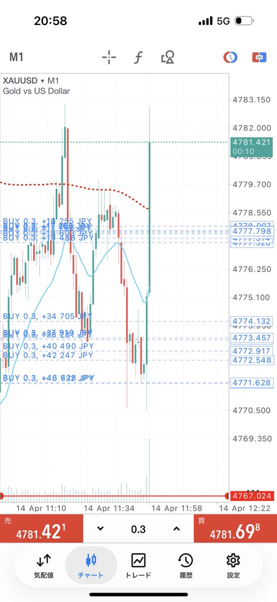蓮｜FX｜元ジムトレーナー tweet media