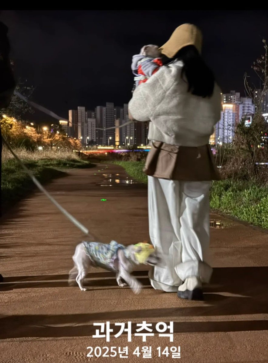 X-TREAM🌼 tweet media