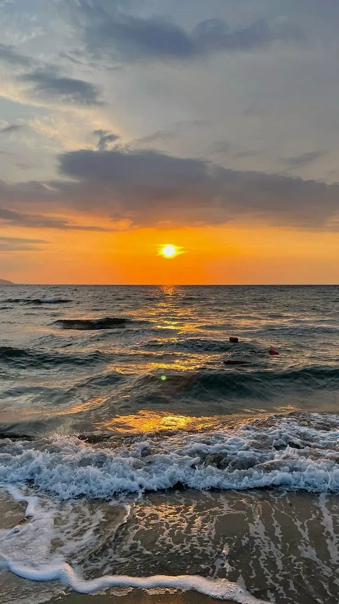 Global Bites ๐ tweet media