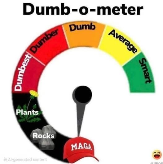 Brian Pearson 🇺🇸🌊💙 tweet media