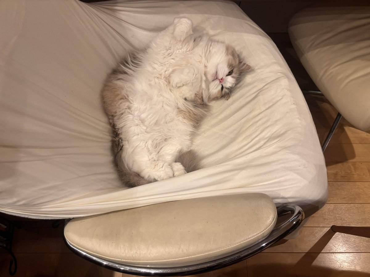 おまえも雪だるまにしてやろうか tweet media