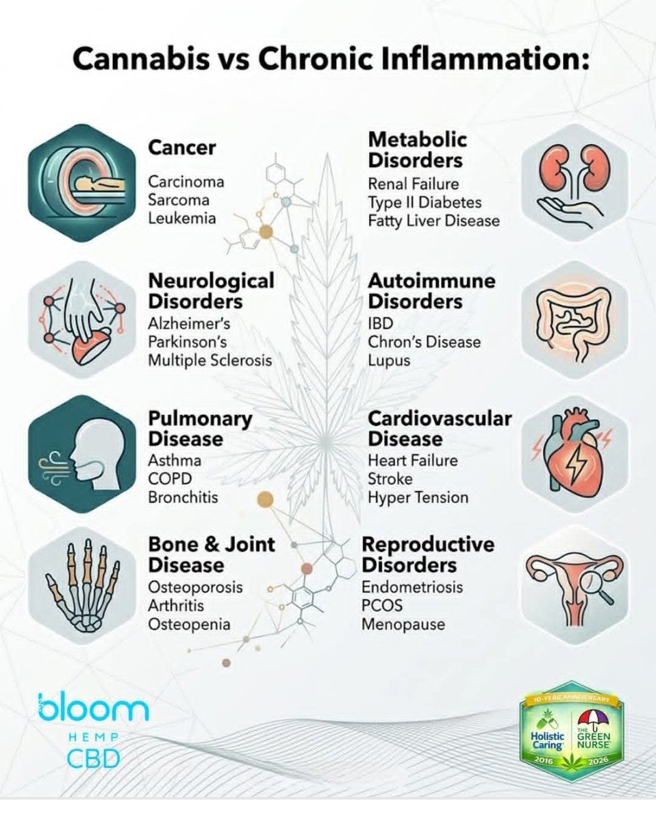 AbilityEnabler's tweet image. #Cannabis #Hemp #Freedom #Decriminalization Overdue @Potus The Safest Should Be Completely Free;
If 'their' products were so good they wouldn't fear free market competition,  *Natural-Free, Personal Use, No limits 
*Synthetic/Processed-Oversight, Affordability, Informed Profits