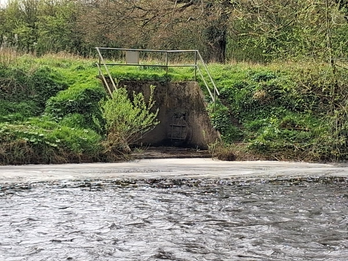 Brian McHugh 🌏🏳️‍🌈 tweet media