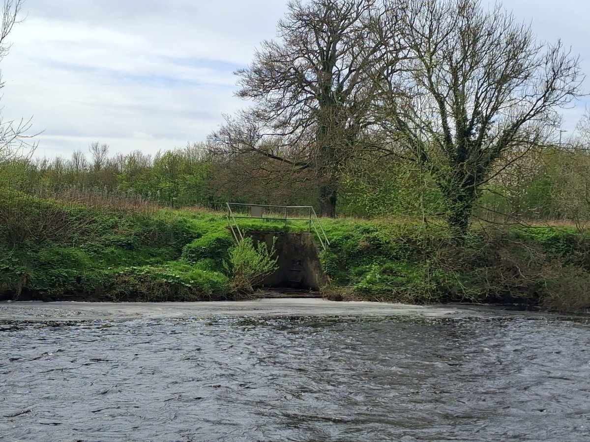 Brian McHugh 🌏🏳️‍🌈 tweet media