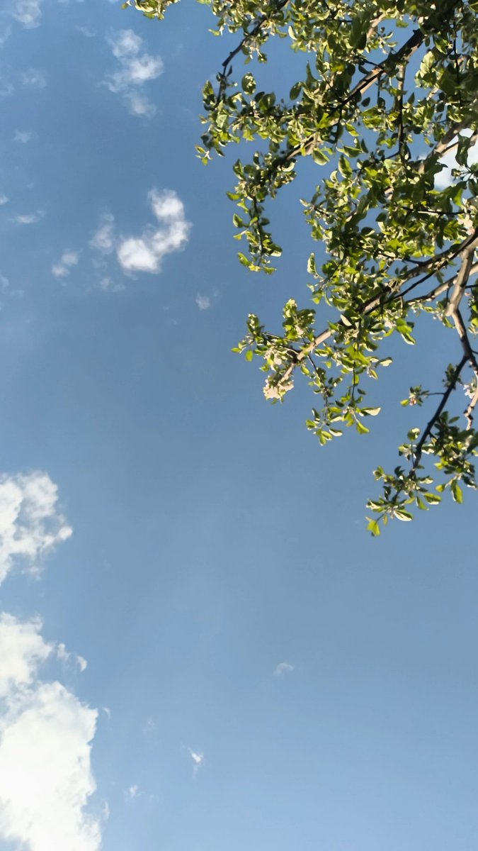 Shahnoz Sharifоva tweet media