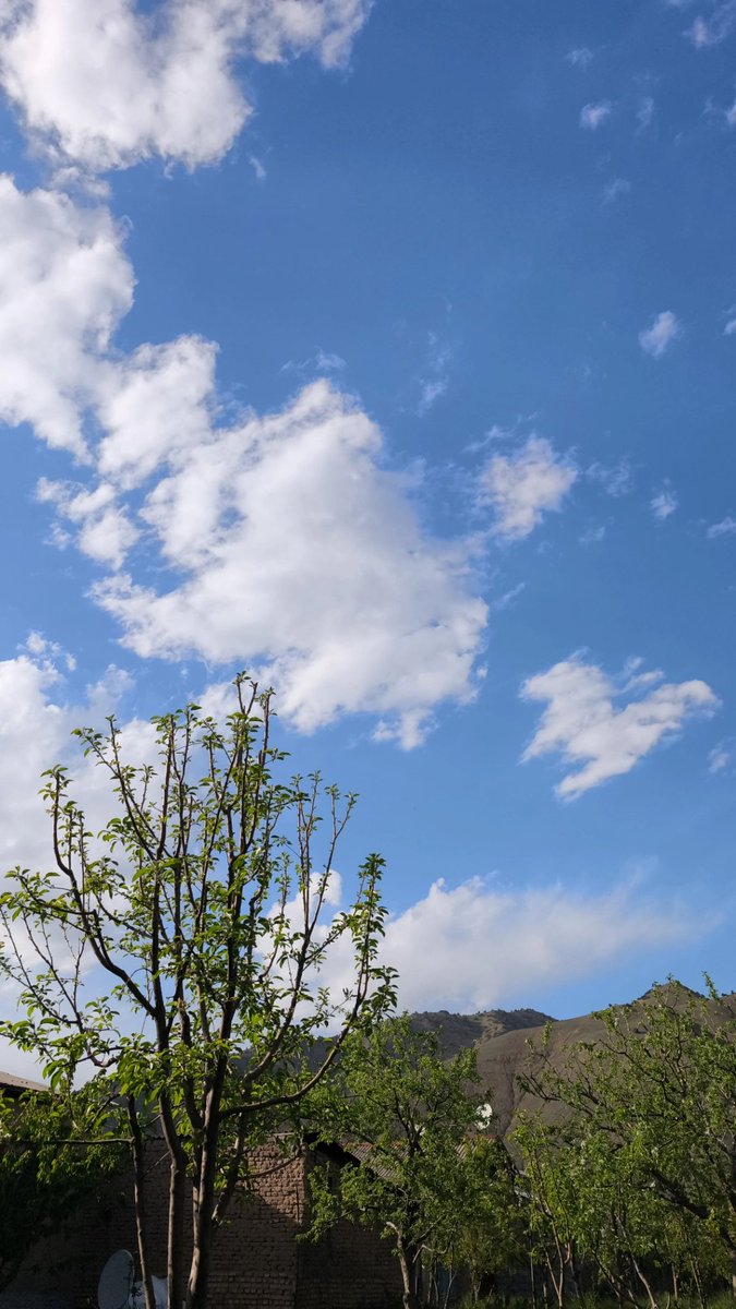 Shahnoz Sharifоva tweet media