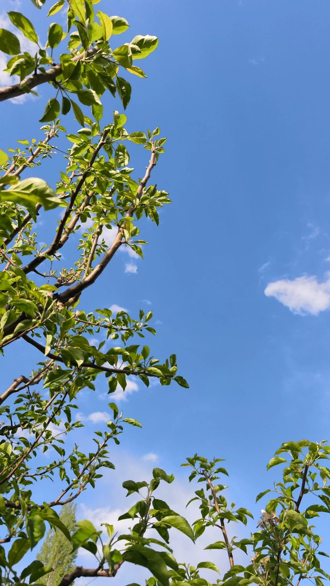 Shahnoz Sharifоva tweet media