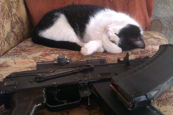 𝘝𝘌𝘙𝘔𝘐𝘕𝘊𝘐𝘋𝘌 !!! tweet media