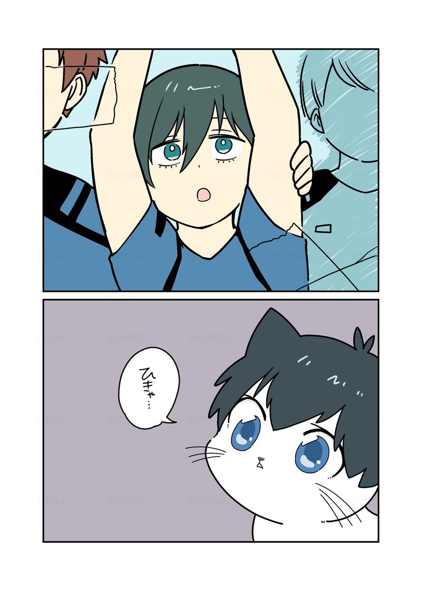 itsさん家のisg子猫🐾
はじめての留守番⑤