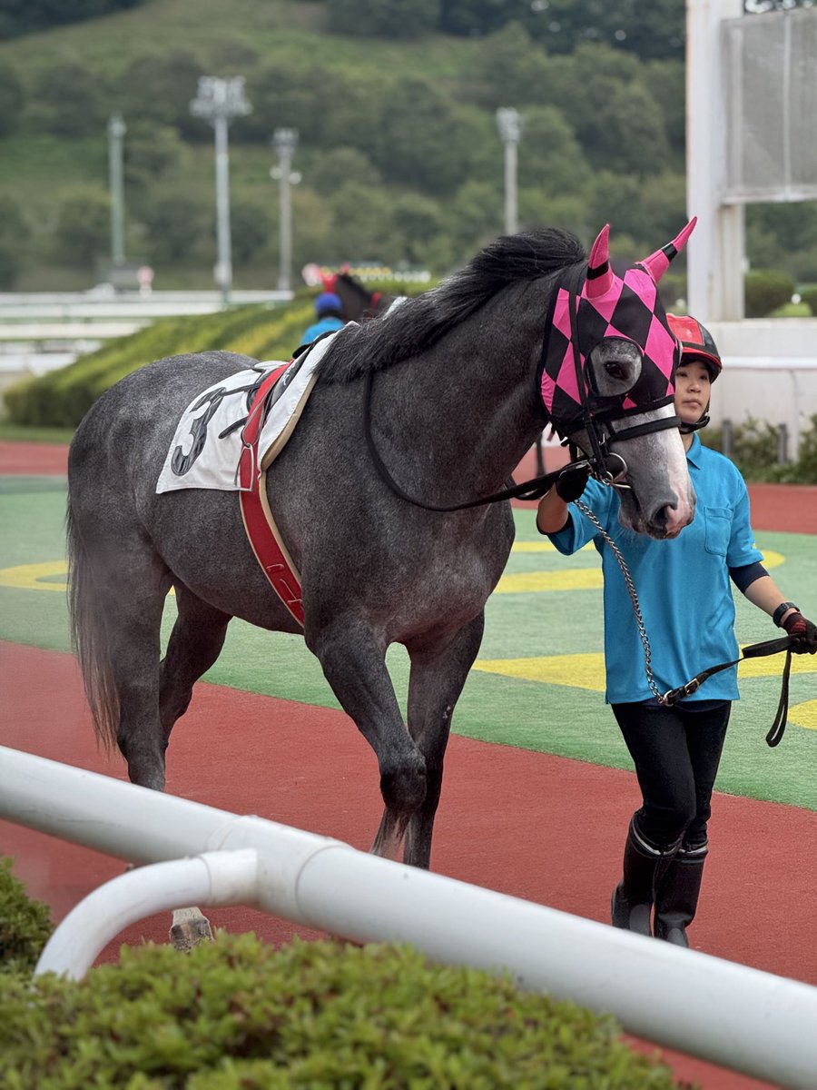 ビンス＠ガルパンおじさん tweet media