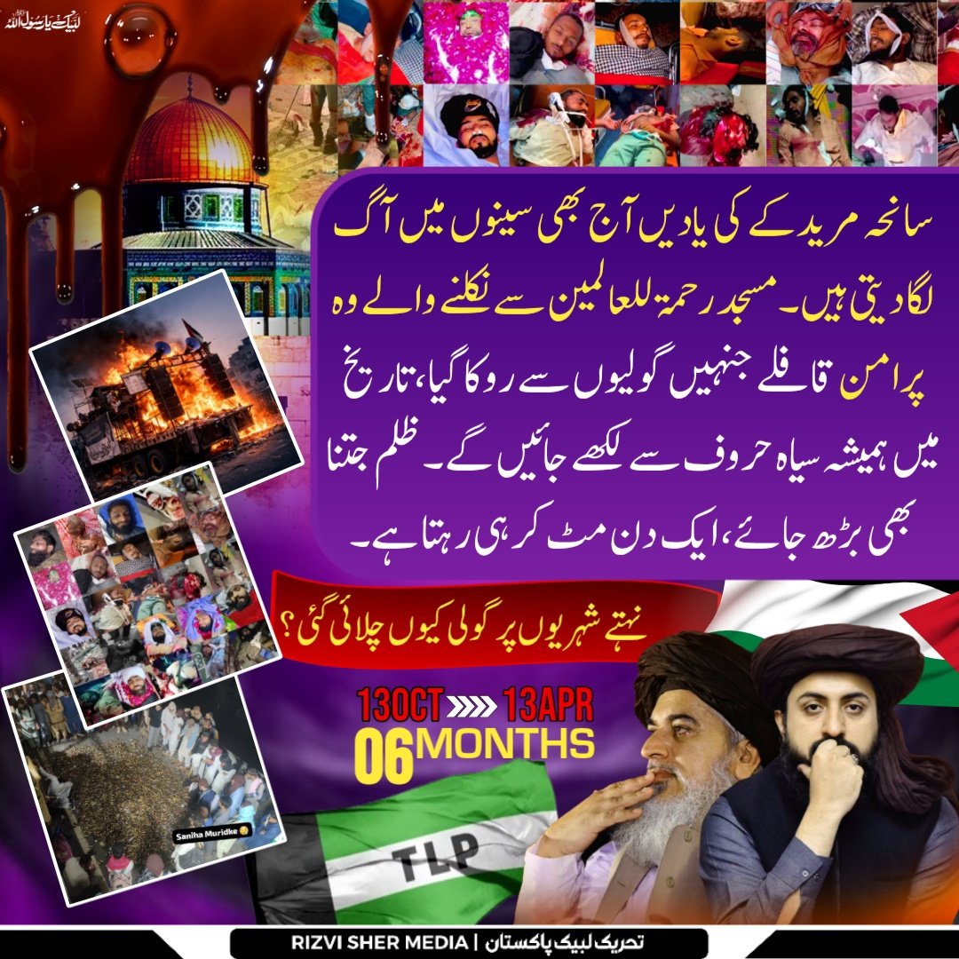 RIZVI SHER MEDIA OFFICIAL tweet media