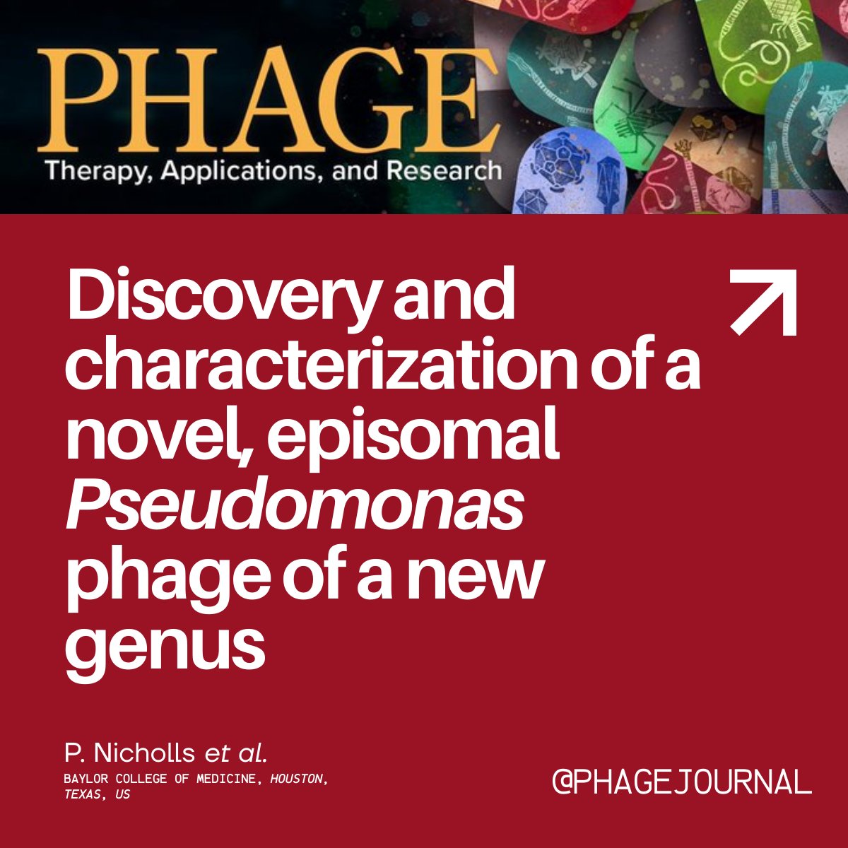 PHAGE: Therapy, Applications, and Research tweet media