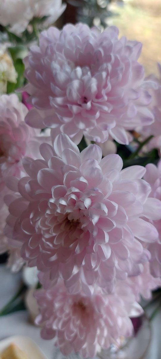 Он Вам Не Беляш tweet media