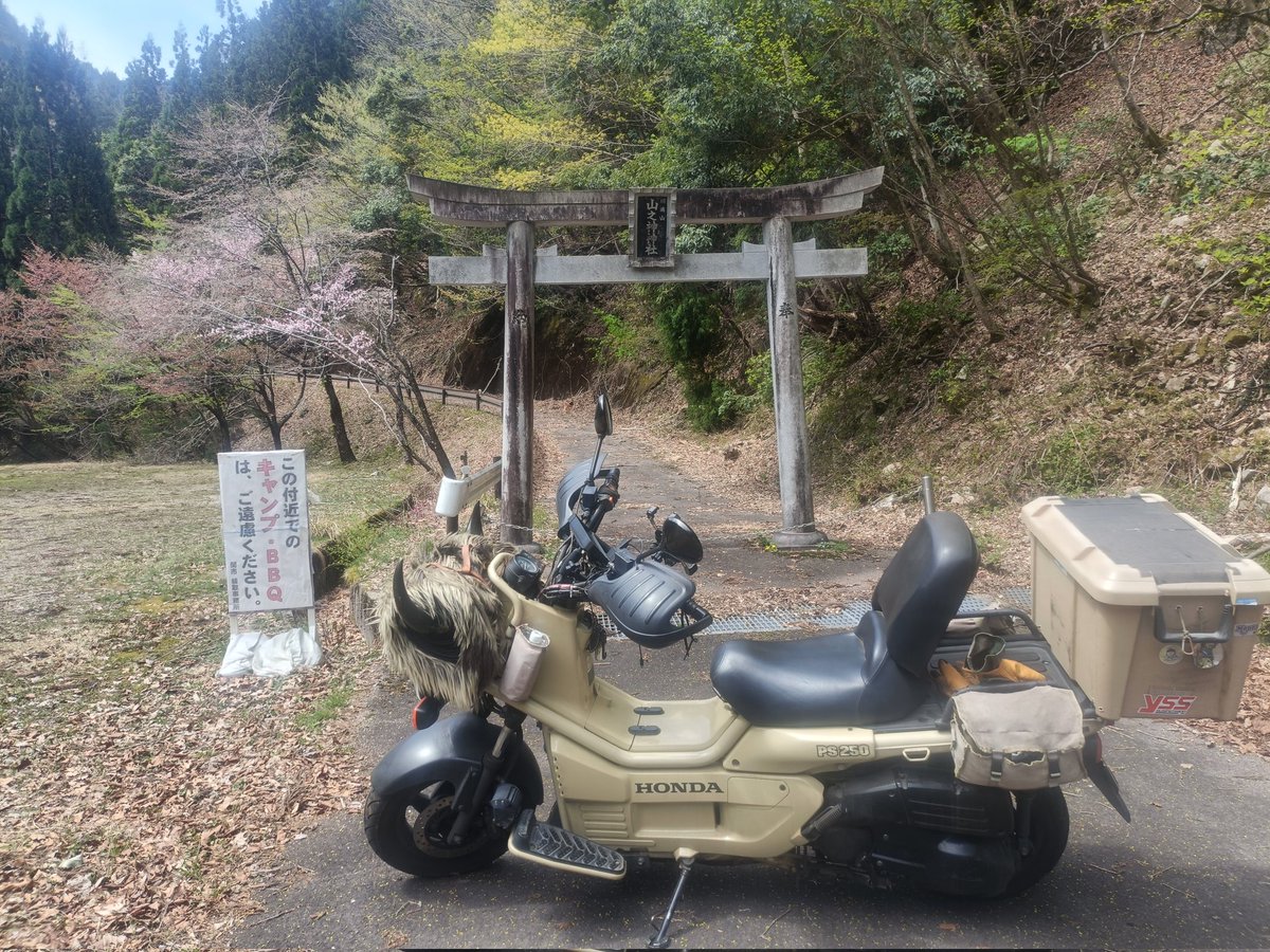 Nakashima tweet media