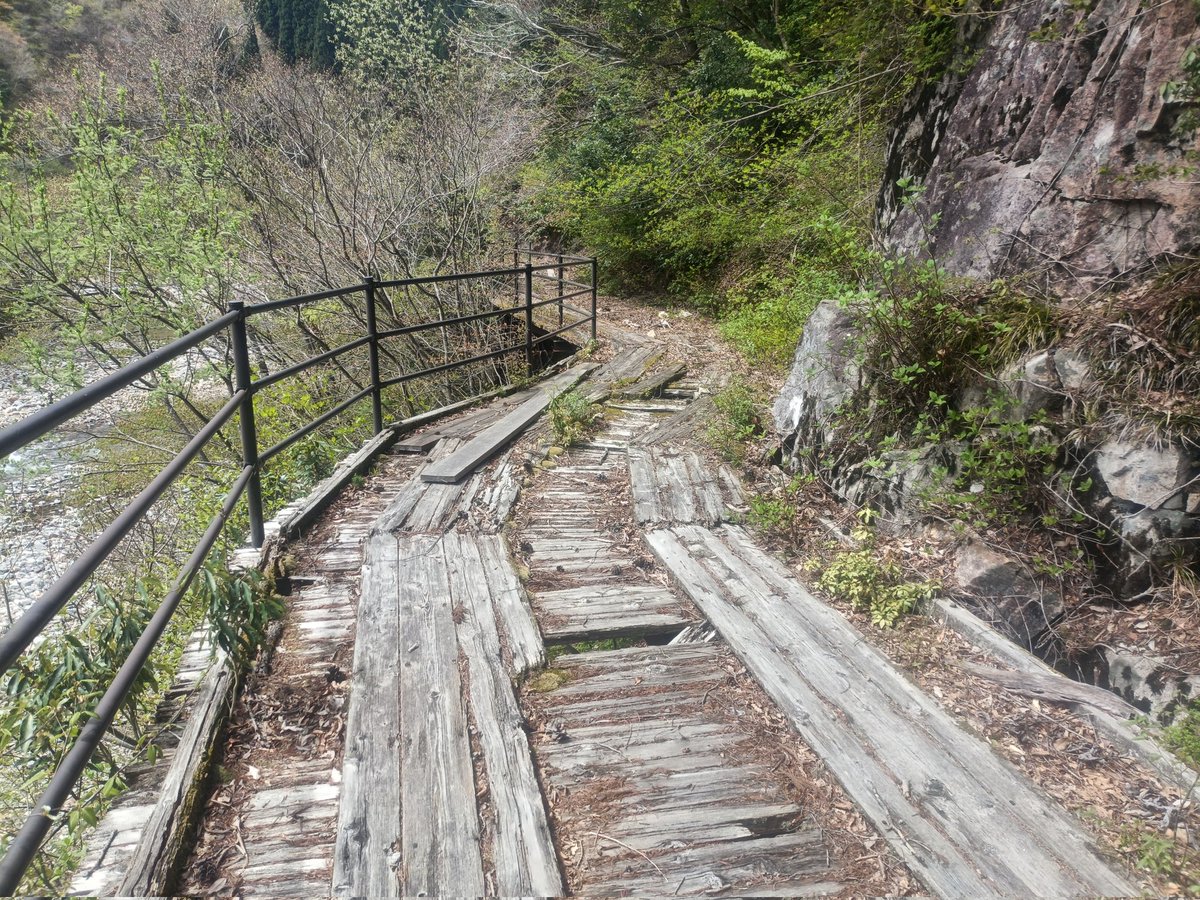 Nakashima tweet media